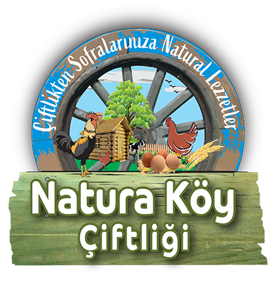 NaturaKöy – Doğal Köy Yumurtası